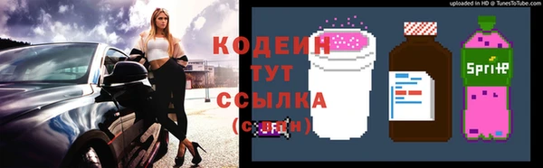 амф Михайловск