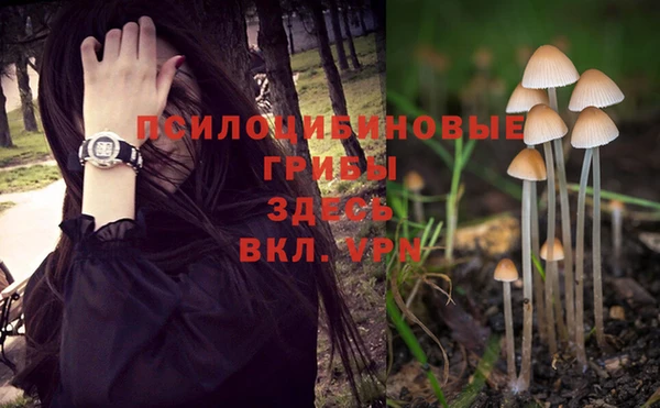 кокаин Михайлов