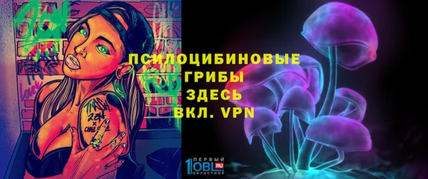 дурь Наволоки