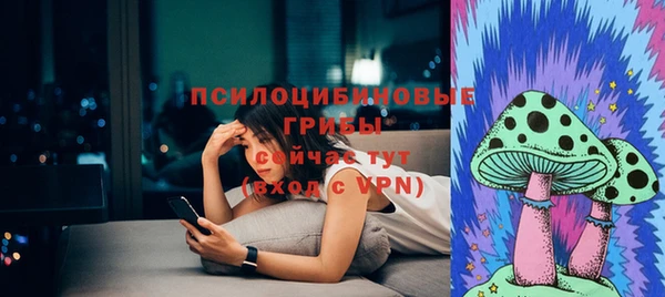 амф Михайловск
