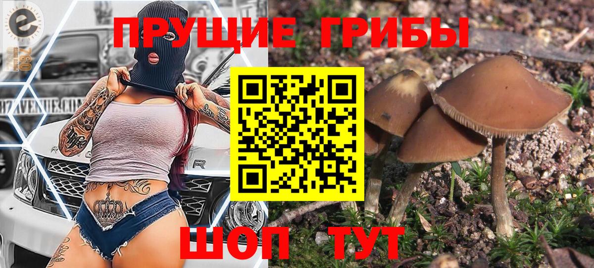 Псилоцибиновые грибы прущие грибы Дятьково